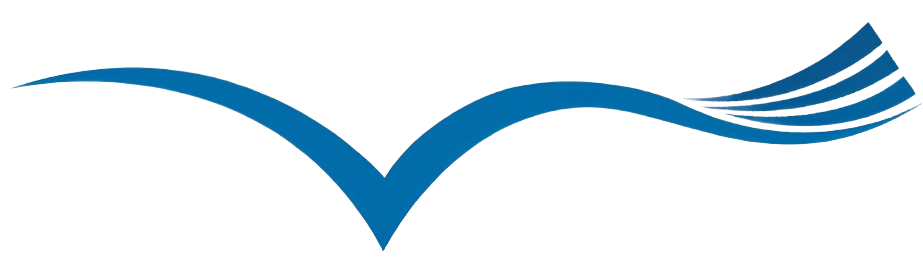 Logo gaivota azul